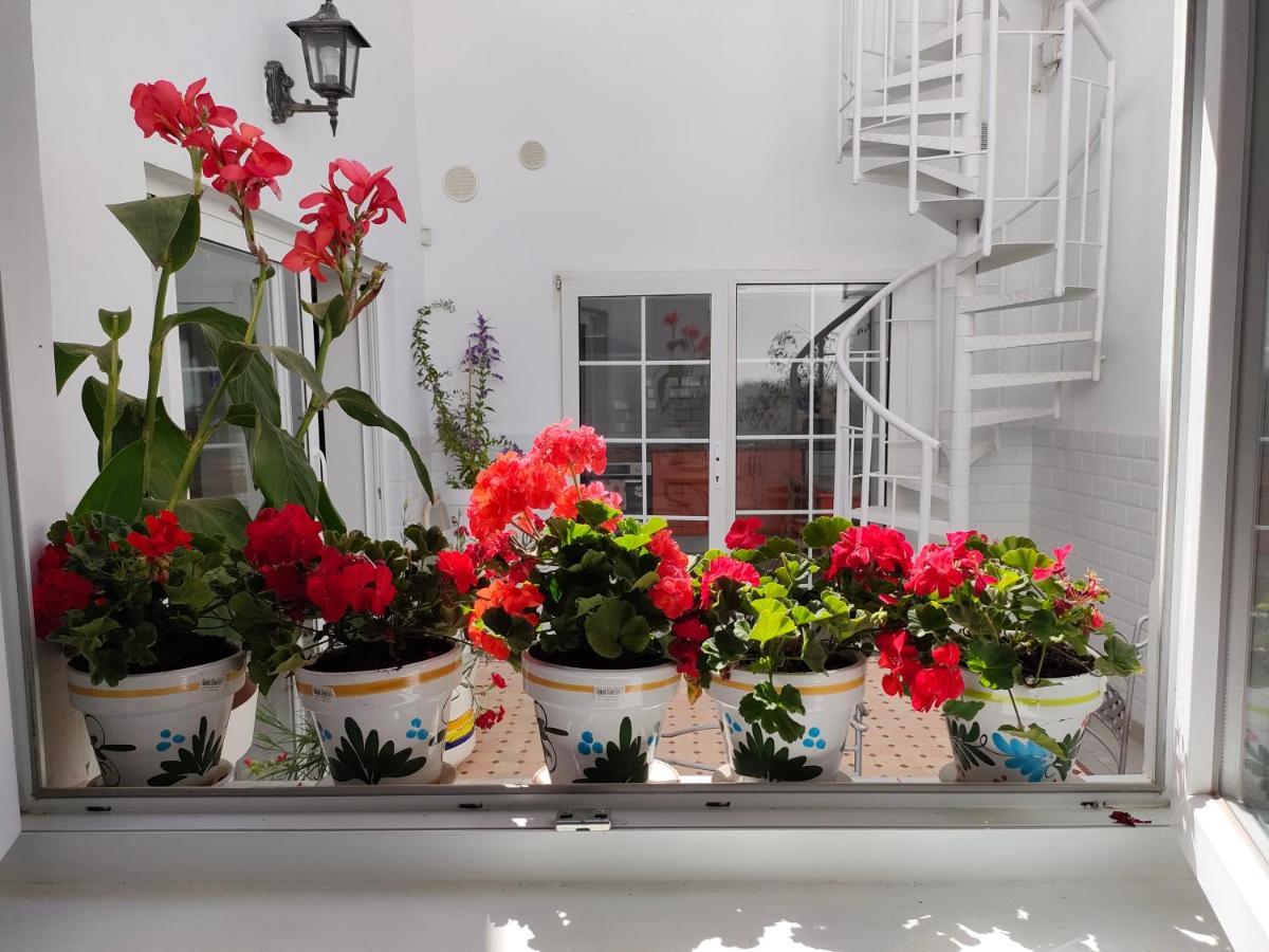 Apartament Casa Alba 1 Puerto del Rosario  Zewnętrze zdjęcie